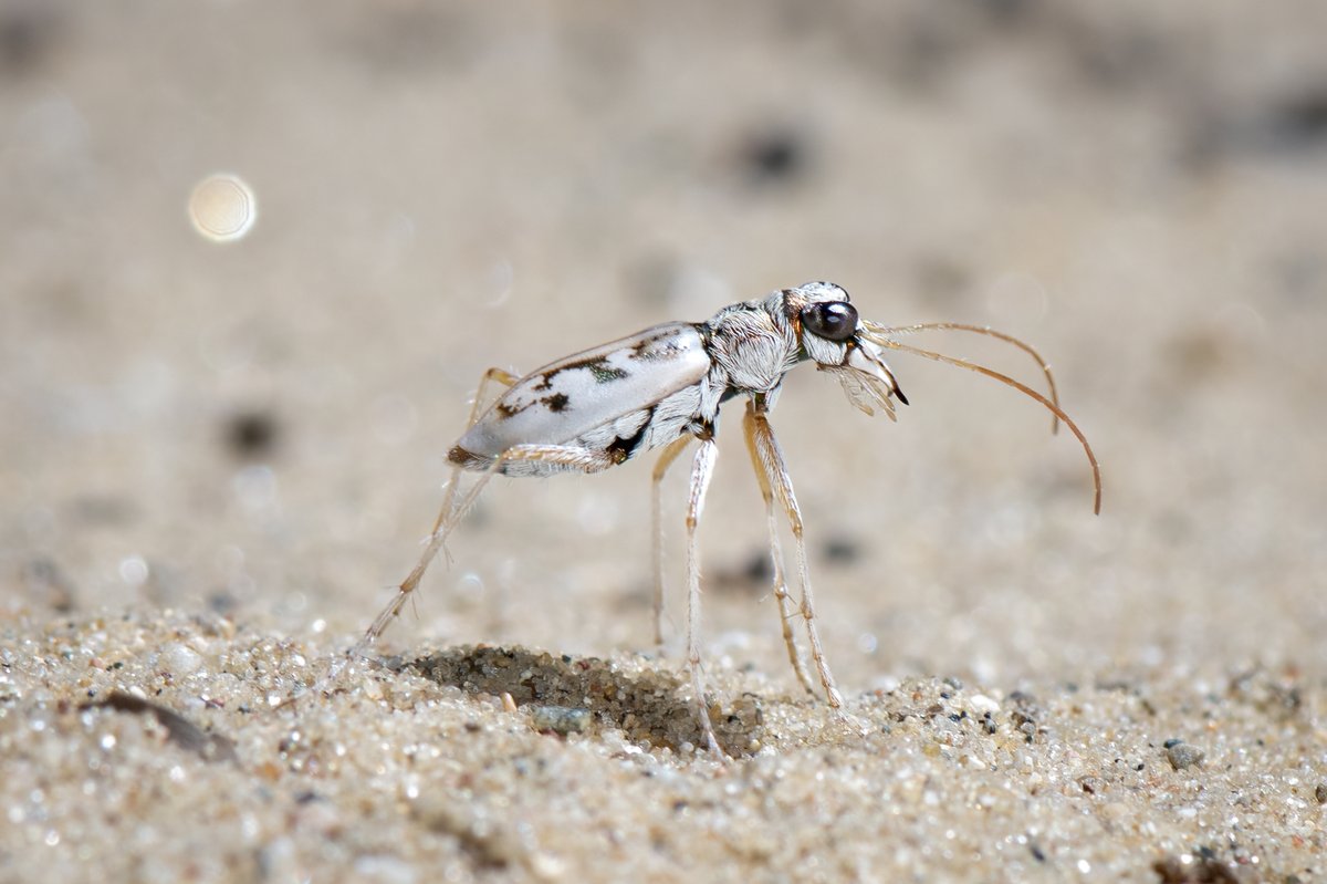 John S Christensen tweet media