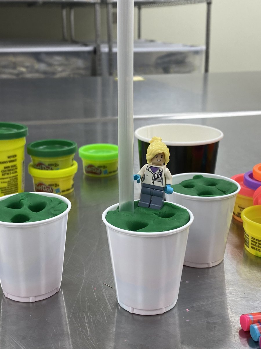 LegoForages's tweet photo. Out of our way, we are doing #science things today in the #forage lab! Working on #filming a special #kids #craft tutorial as part of a #KubotaCountryKids project. Stay tuned!
#CreativeCollaboration #LegoScience #UGAExtension #UGAResearch @CropSoilUGA https://t.co/7NKSeU3oeb