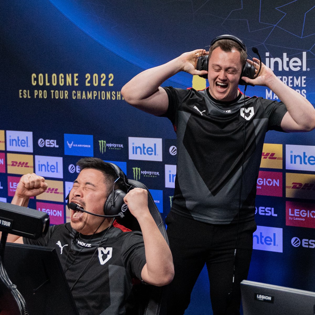 MOUZ tweet media