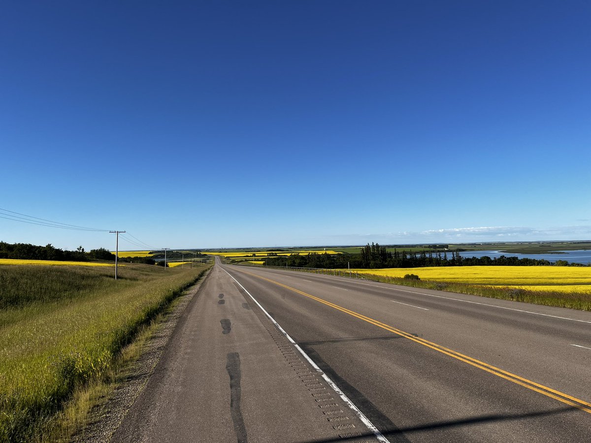 jeremycockrill's tweet image. With the canola fields showing their colour, this is one of the best times to drive around Saskatchewan. Great views along Highway 4 this morning.