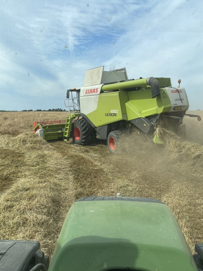 mfmark232's tweet image. Here we go again.