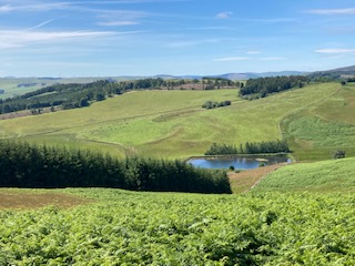 EildonRamblers's tweet photo. #LingliHill/#FoulshielsHill circular walk on Saturday, 18 walkers + 2 potential new members. It was very #HOT on this slightly challenging walk. Great views from the tops! Sally leader, Anthea backmarker, pics Frank
@ramblersscot @RamblersGB @VisitScotNews #Eildons #Borders https://t.co/O3tILzR42m