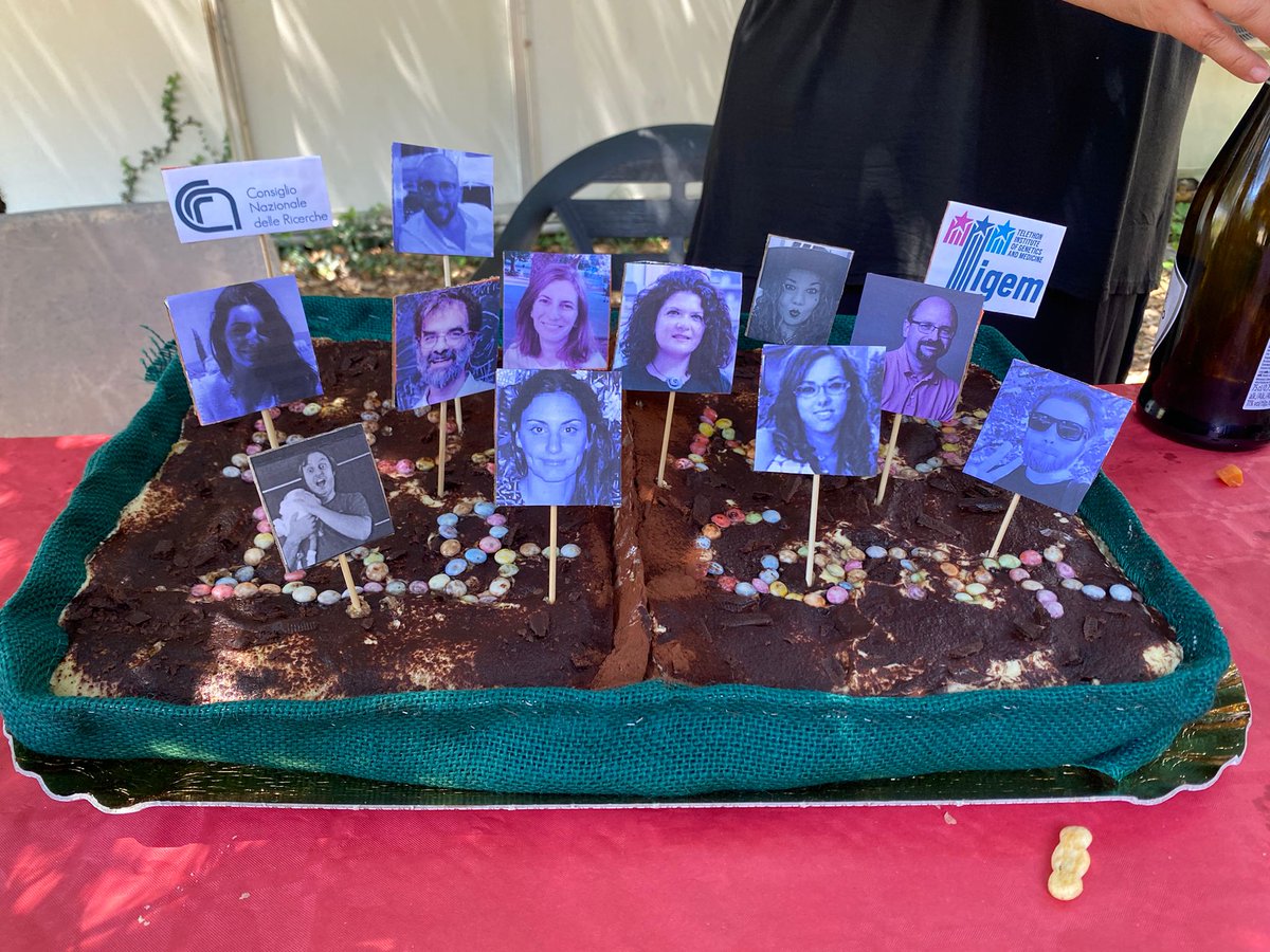EDeLeonibus's tweet photo. 🎉 Celebrating our paper accepted in @NatureComms with an #autoship-tiramisu-cake. Co-authors #IN-person @giulka @m0rpholino @DilettaCavezza @AlvaroCrevenna or #IN-TIRAMISU @vittorioloffre2 Esposito F. #treves Ale #Gioffre M @marilenagrig @CNRsocial_ @Tigem_Telethon @embl https://t.co/CSzyRXTGBb