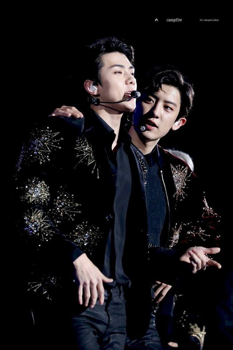 hourlyexosc's tweet photo. #EXO_SC https://t.co/pkEXrYRbIk