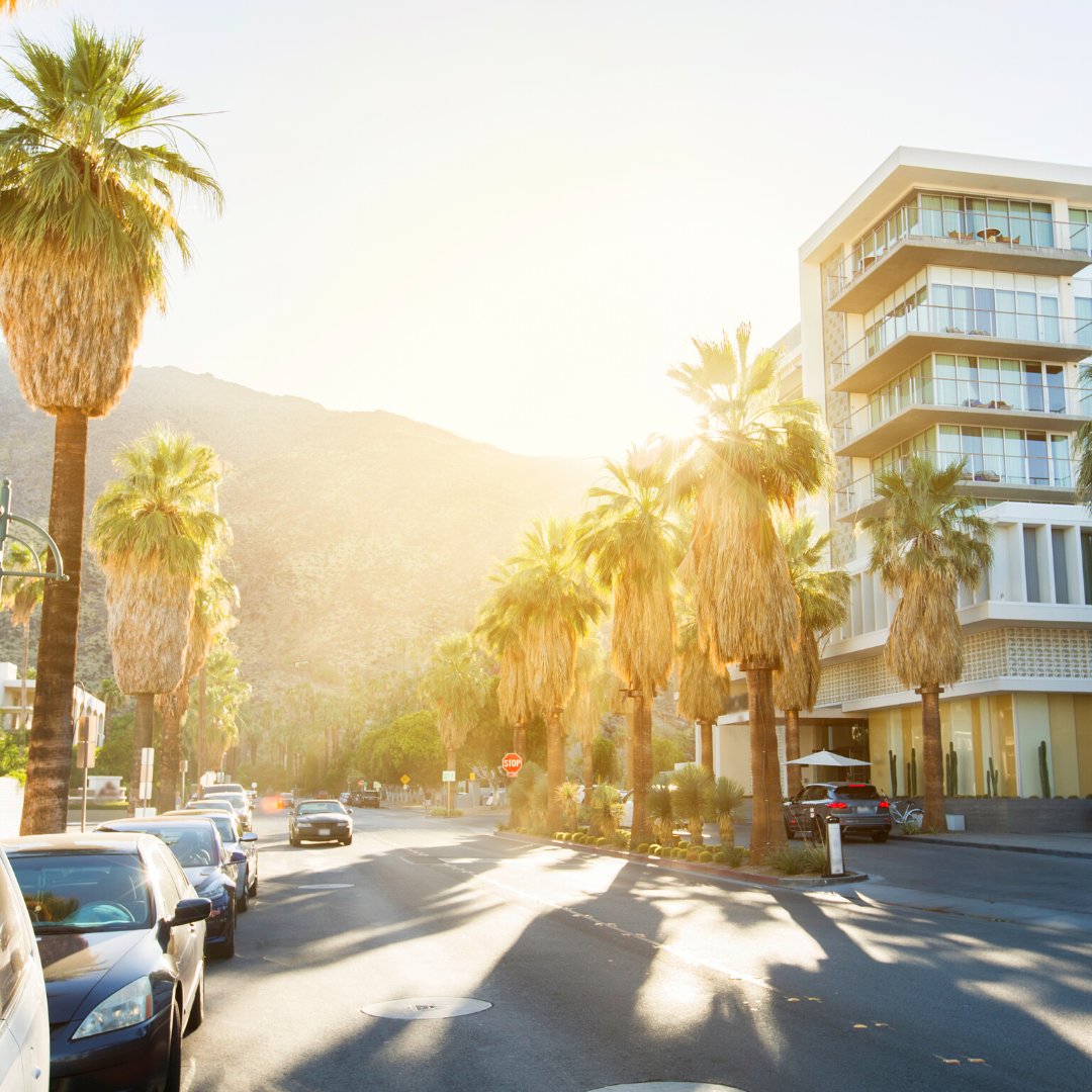 ahaairlines's tweet photo. Vibes😎 🌴

Don't forget that you can get 15% off tours + excursions* in destinations like Palm Springs with promo code AHA15. Must book by Aug. 31, 2022. https://t.co/mzrZQTI39H

*Excludes live events, ground transport, and restaurants/dining. Based on availability. https://t.co/1rLteiBmZo