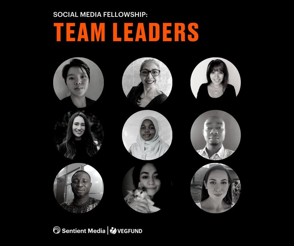 Sentient_Media's tweet photo. Today begins the @sentient_media 100 Voices campaign! For 30 days, members of the Social Media Fellowship will explore global #food system issues.

You’ll hear from 100 individuals in 17 countries. Follow along via social media &amp; the #100Voices newsletter: https://t.co/M1cm4eaj2o https://t.co/lQsDrpEBbk