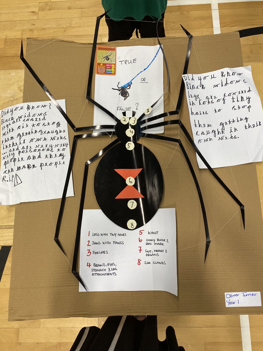 twynhamscience's tweet photo. Some amazing projects at todays primary science fair, from year 1 to year 6, it was lovely to see the hard work that had gone into them. @CJSDorset @stkbournemouth @TwynhamPrimary @BurtonCEPrimary https://t.co/f8JDyl8IyB