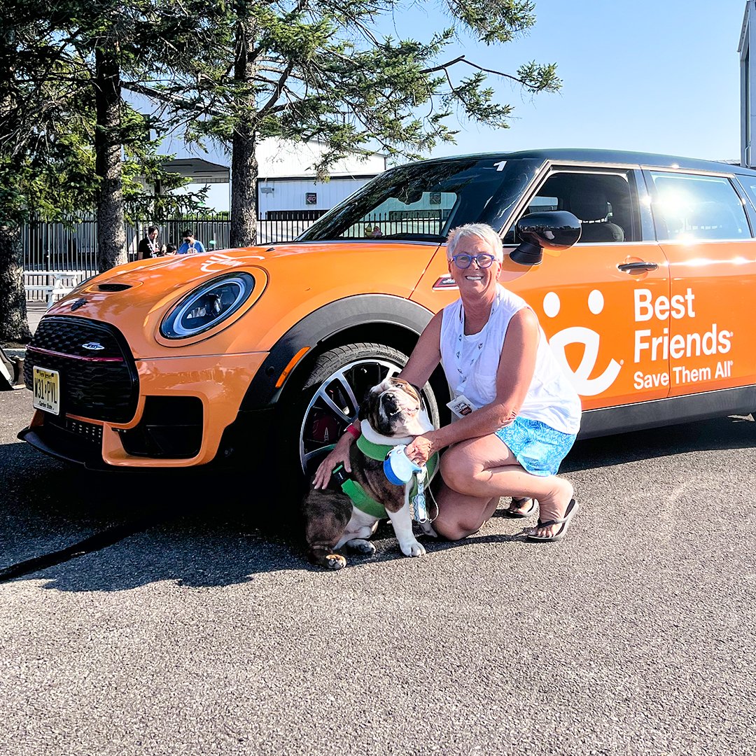 MINI USA tweet media