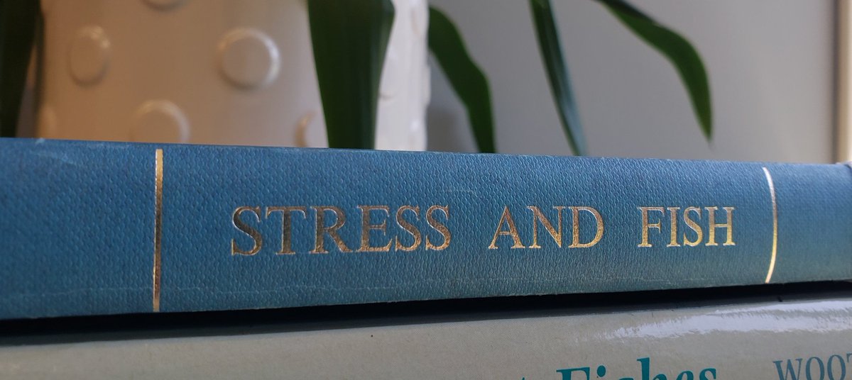 'What's a day like in your job?'