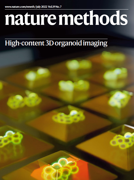 naturemethods's tweet photo. Our July issue is live! https://t.co/ohUmEMTXjb

On the cover, microfabricated organoid culture chips enable high-content 3D imaging. Artwork by Diego Pitta de Araujo, representing https://t.co/tAy656isZo from @Viasnofflab @BeghinTeam and colleagues. https://t.co/Q9ZEFpuU3C