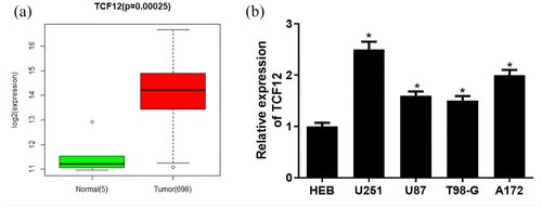TumoriJ's tweet photo. Authors analyzed the data from TCGA by #Bioinformatics  and found that in #glioma tissue #TCF12 was ⬆️highly expressed while #miR-218-5p was significantly ⬇️low-expressed

Learn more
🔗https://t.co/gkCUed4rZj

#biomarker #Genomics #glioblastoma #braintumor https://t.co/Mj1d6tNrzf