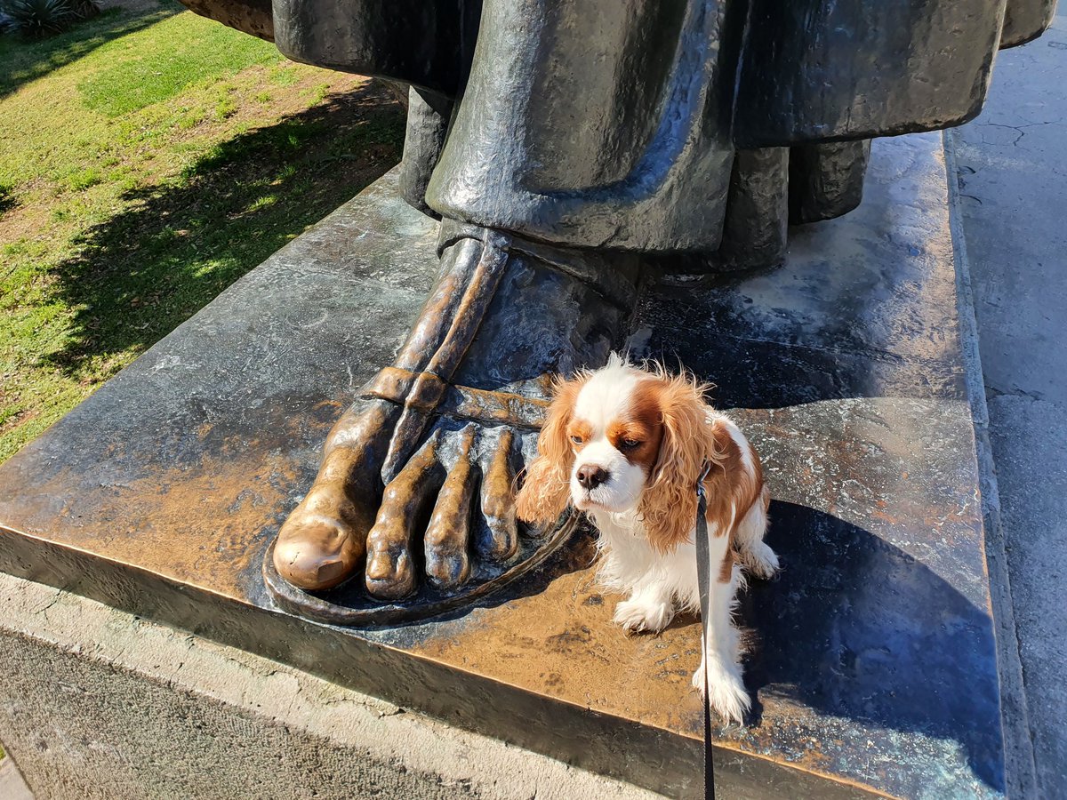 RJonTourUK's tweet image. Vote Henry for #PrimeMinister
He will steal food of your table.
Run up expenses on foreign holidays
Take the p1ss
Put his foot in it
Hump anything
Will lick foreign agents
#conservativeleadership #ToryLeadershipContest