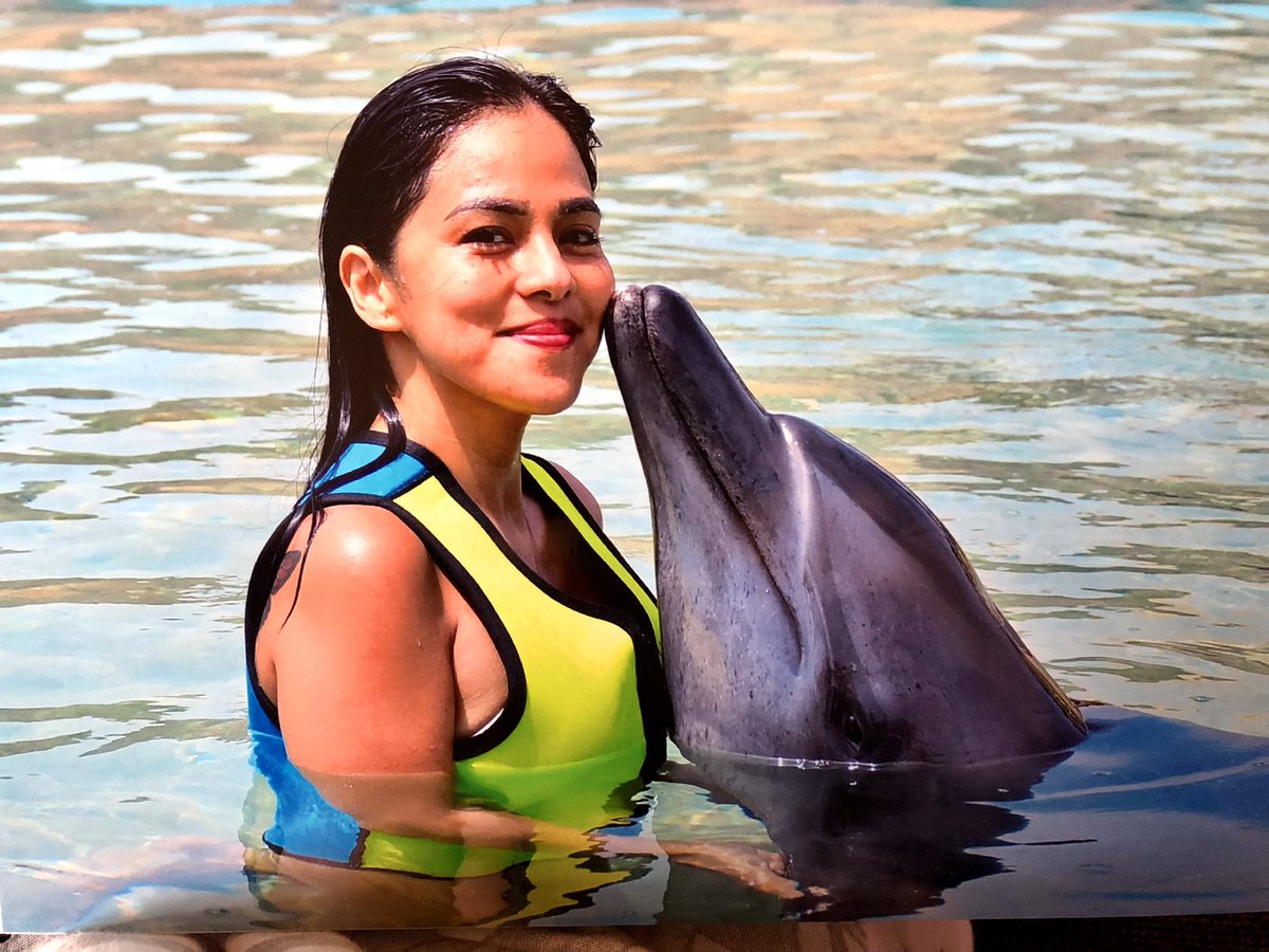 Asia_pretty's tweet photo. #dolphinbay #atlantisthepalm ❤️🌊 https://t.co/kVsQu3xkQ3