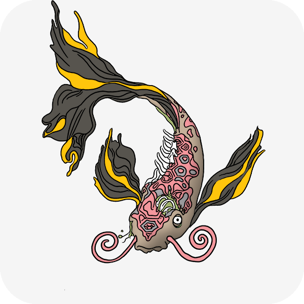 KoiFishCollective tweet media