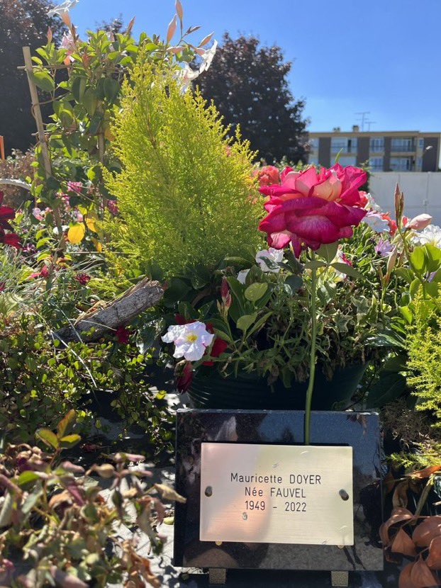 Marc_Doyer's tweet photo. #Mauricette repose dans petit cimetière au bout de la rue de la Liberté👉petite visite en amoureux pour me donner la force👉pour visite à  @AssembleeNat aujourd’hui débute le débat sur le projet loi Covid 👉#députés ne jouez plus avec nos libertés @verity_france @CollectifLIBER1 https://t.co/kyByIo70ka