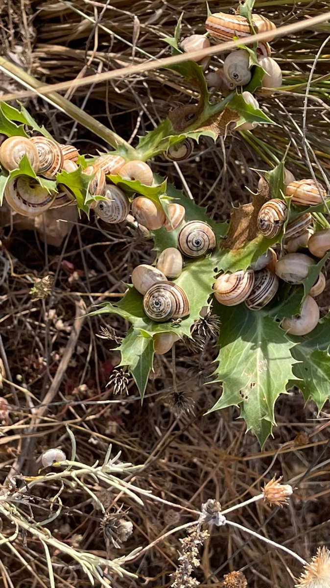 Naturaleza con toda su fuerza. Acantilados de Punta Prima
