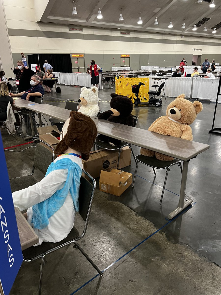 The bears of Western Kansas prepare for the final confrontation #GC80