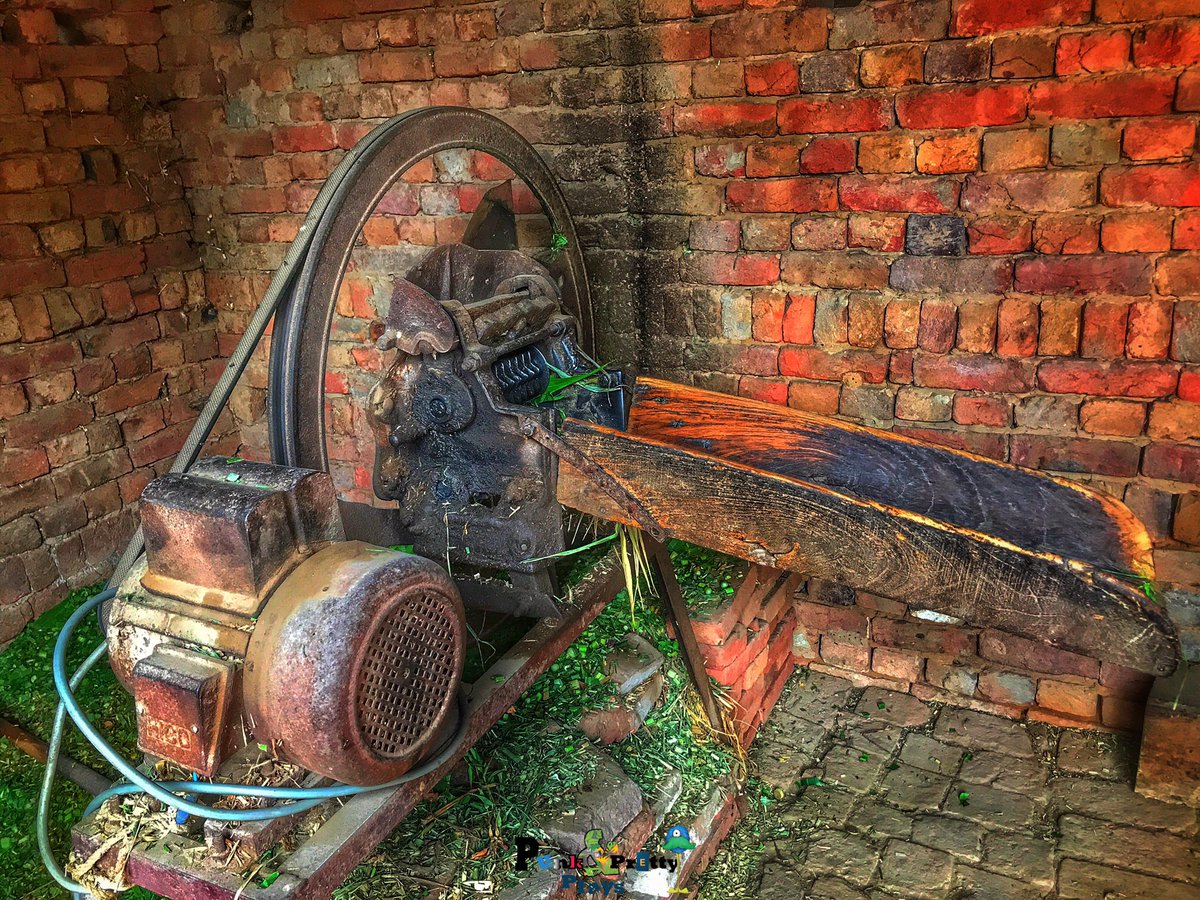 shortstrail328's tweet photo. Because it’s trending nowadays. 

#punkandprettyplays #photooftheday #photography #scenery #bhfyp #instagood #nature #machine #machinery #villagelife #cuttermachine #green https://t.co/pRT6FpxSuc