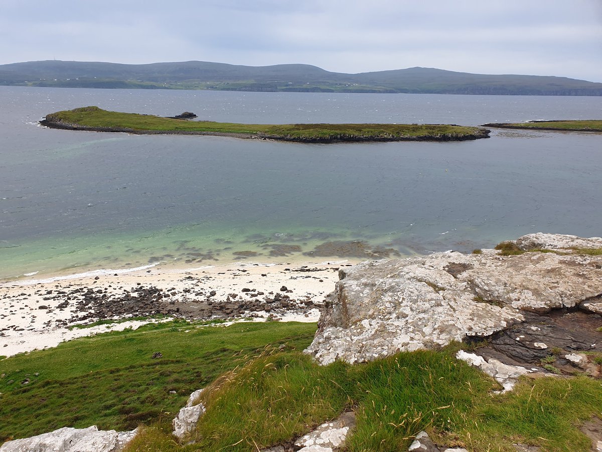 Andrew Bolton tweet media