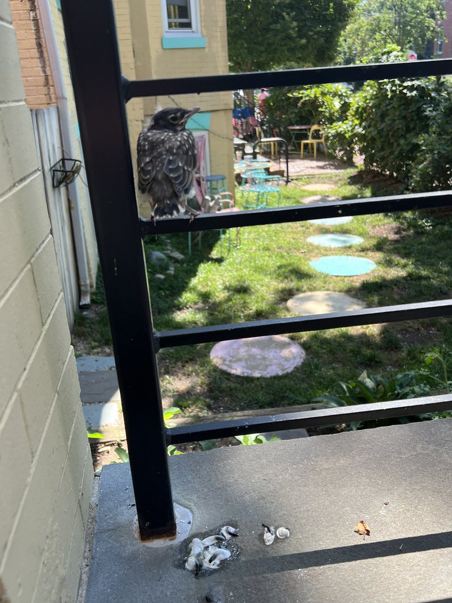 Meredith Tomason tweet media