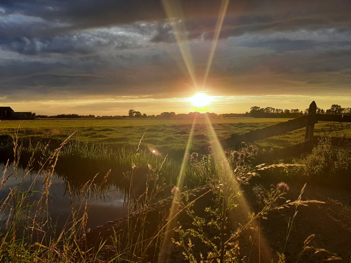 Mijn foto voor de zomerfotowedstrijd van Het Kontakt. Stemmen kan via: fotowedstrijd.kmp.nl #Alblasserwaard #hetkontakt #fotowedstrijd #zomer