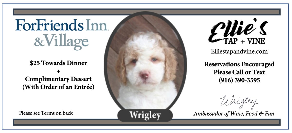 ForFriendsInn's tweet image. 🍰 ForFriends Summer Weekday Special With Ellie's Tap &amp;amp; Vine - Stay 2 nights to save up to $300.  Also receive $25 in Wrigley Bucks for use at Ellie's Tap &amp;amp; Vine where you'll also receive a complimentary dessert. mailchi.mp/ecccd39284b0/f…