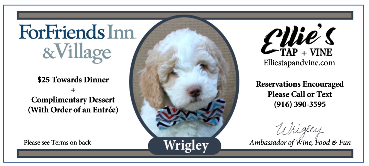 ForFriendsInn's tweet image. 🍰 ForFriends Summer Weekday Special With Ellie's Tap &amp;amp; Vine - Stay 2 nights to save up to $300.  Also receive $25 in Wrigley Bucks for use at Ellie's Tap &amp;amp; Vine where you'll also receive a complimentary dessert. mailchi.mp/ecccd39284b0/f…