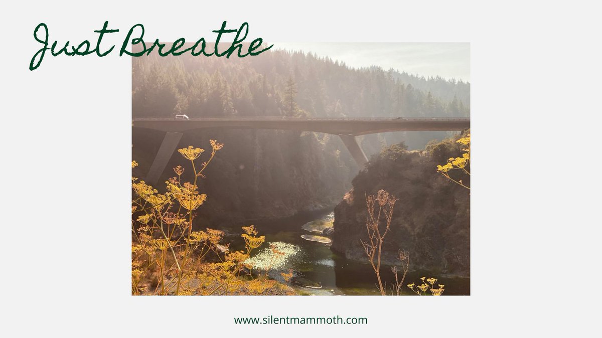 Sometimes, that's the best you can do.

#breathe #breathein #breatheeasily