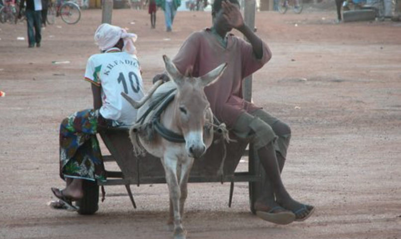 worldnewsdotcom's tweet image. Seven children killed in #Togo bomb explosion

#ISIS  #BombExplosion 
article.worldnews.com/view/2022/07/1…