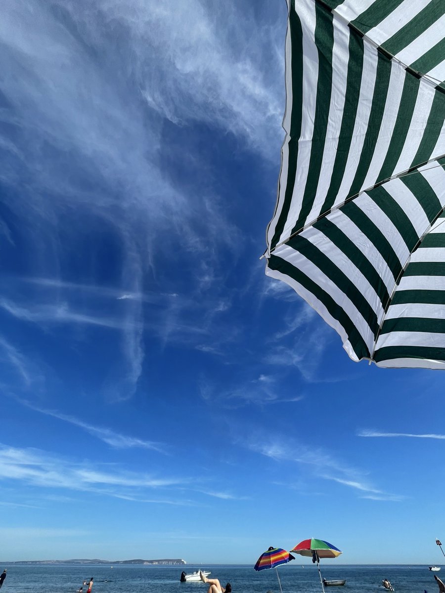 Ryan Howell tweet media