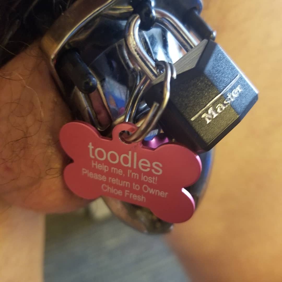 bubblesintights's tweet photo. Dying to hump my Owners leg, it's been 495 days and this is excruciating!
The dreams every night are relentless.
#chastity
#locked
#denied
#sissyhumiliation
#sissyhooker
#Feminisation
#humpless https://t.co/cttQSVc1Hd