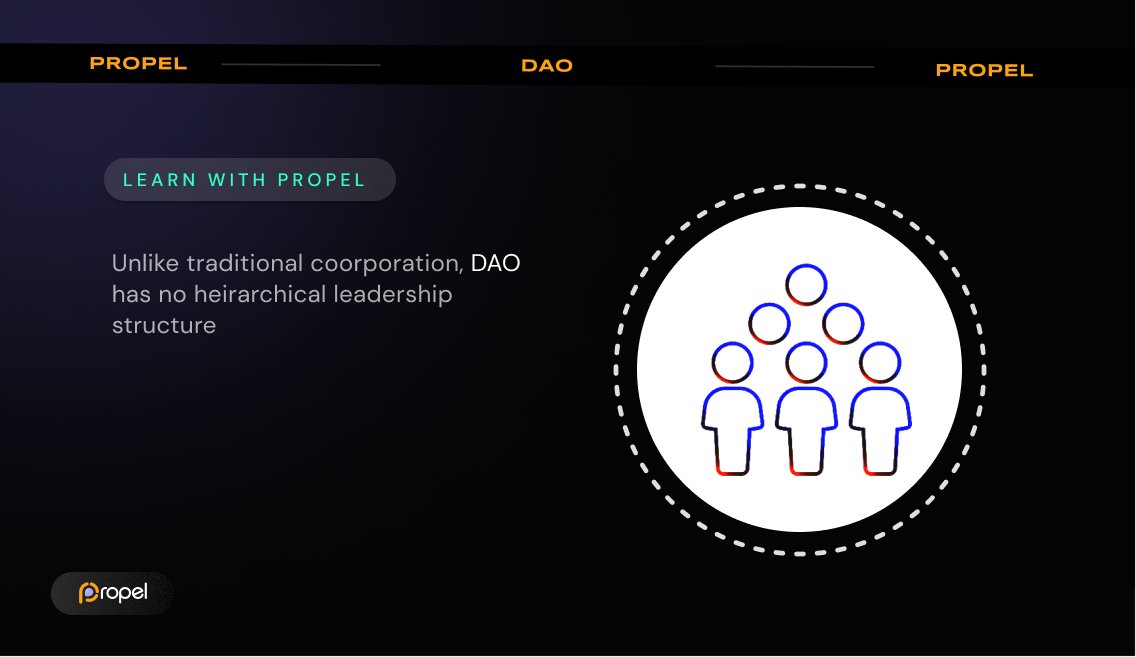 PEACEOKONDAN1's tweet photo. #LearnWithPropel
Unlike traditional corporation, #DAO has no #hierarchical leadership structure
#PropelXYZ #PEL #Blockchain #SmartContracts #DeFi #Staking https://t.co/9wgyfXQYM5