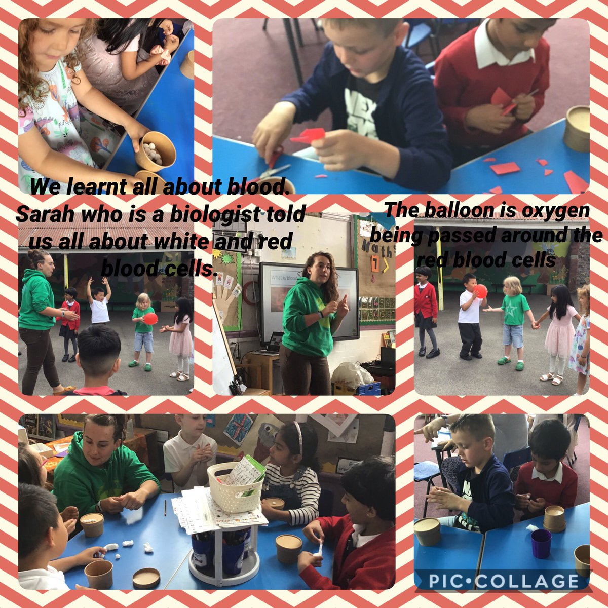 SWPS34D's tweet photo. Being biologists for the afternoon was so much fun. We learnt all about the blood, red blood and white blood cells and what they do in our body #learningisfun https://t.co/kgvhslGJbu