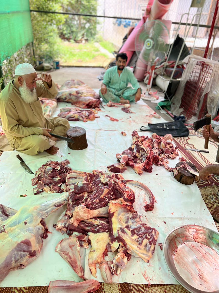 actsofkindnessp's tweet photo. Collective Qurbani (اجتماعی قربانی ) by Acts Of Kindness Pakistan in Islamabad. Meat were distributed among hundreds of deserving families in Rawalpindi and Islamabad.

Qurbani 2022 by Acts Of Kindness Pakistan is being executed in multiple cities. https://t.co/ls88cRIcUW