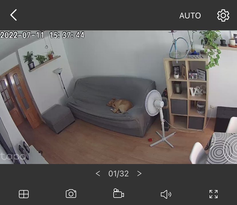 itsGAmazing_'s tweet photo. Yo en el trabajo: pobrecita mi perra, debe estar súper agobiada porque no estamos.

Vicky: https://t.co/NA71D13AE8