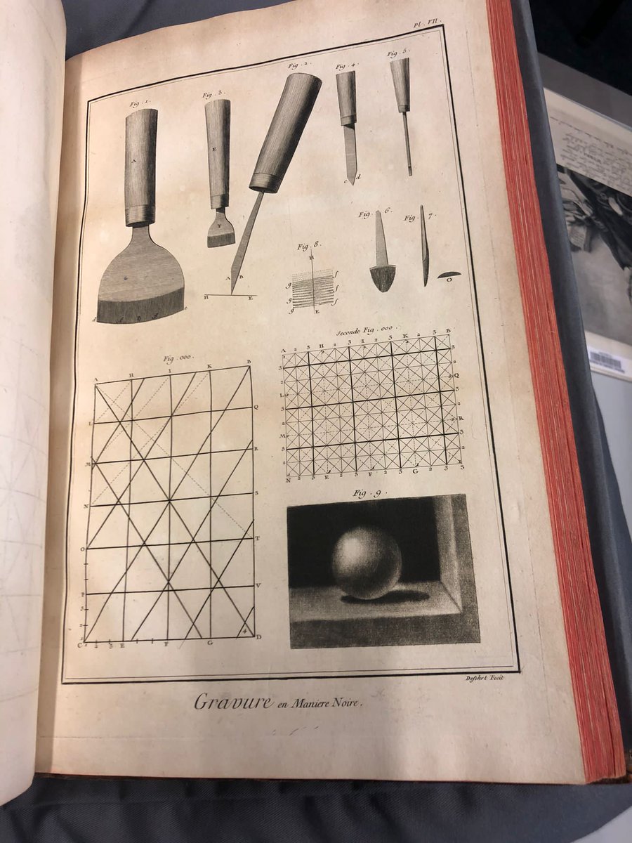 Anna de Bruyn tweet media