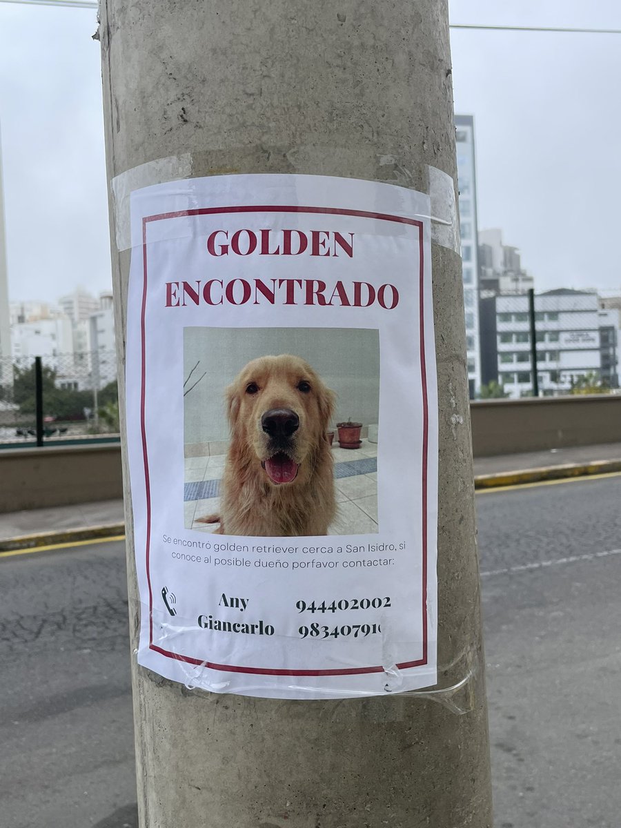 InesOdz's tweet image. Por favor compartir