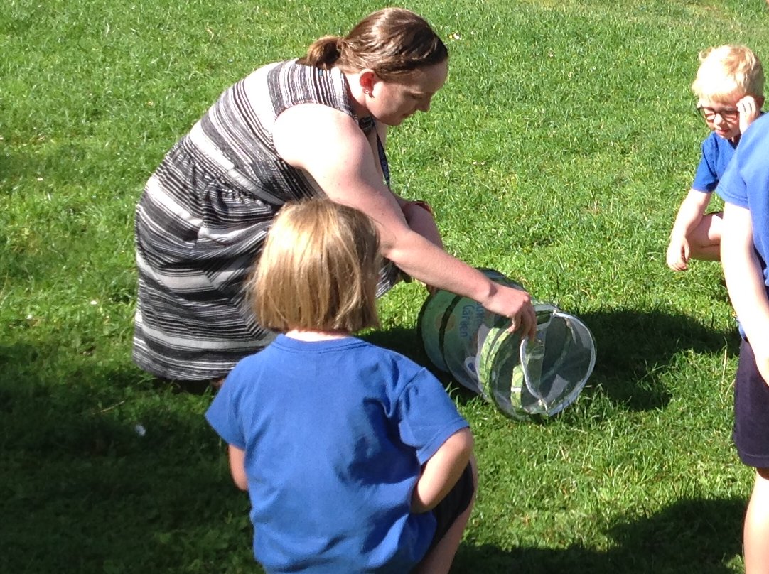 A beautiful summers day, a perfect time to release our butterflies in Reception! I'm sure we'll see them around our school field. I wonder if they will lay any eggs? We also harvested one of our radish plants!