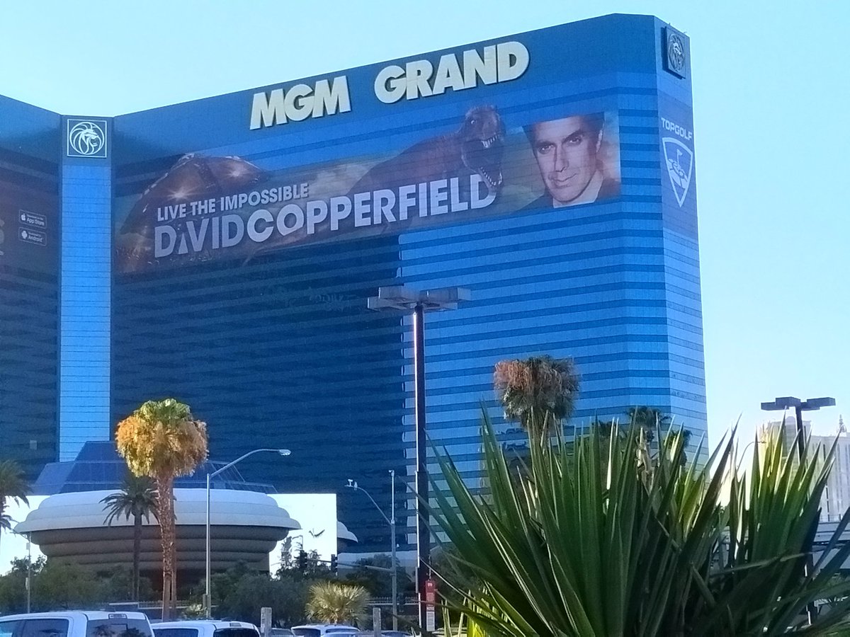 GabbyFortyTwo's tweet photo. Las Vegas! #StepnAcrossAmerica, #Stepn https://t.co/VTlF35ppyX