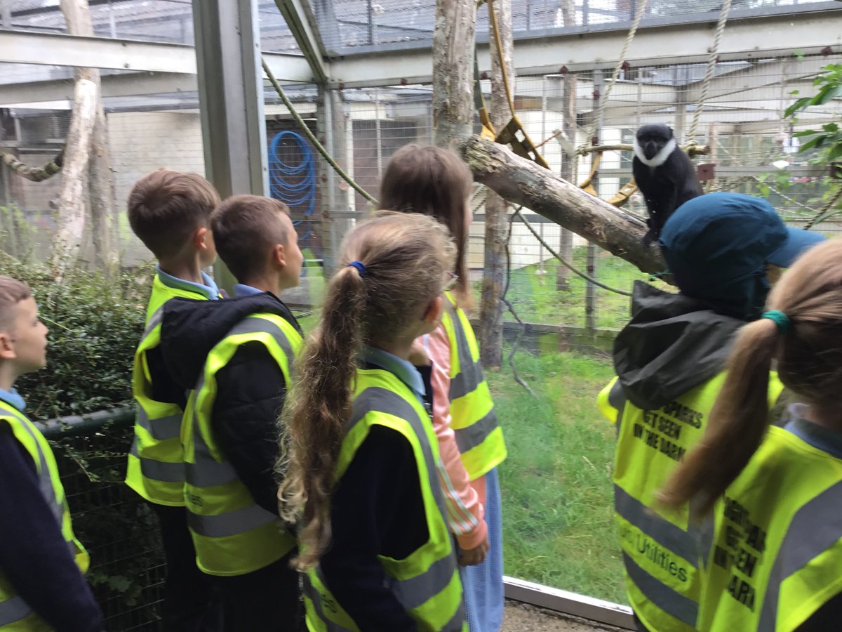 MrsTeahan's tweet photo. What a wonderful day we had at Blackpool zoo. @OURLADYSASPULL #ourladysvisits https://t.co/wa56lwjiK1