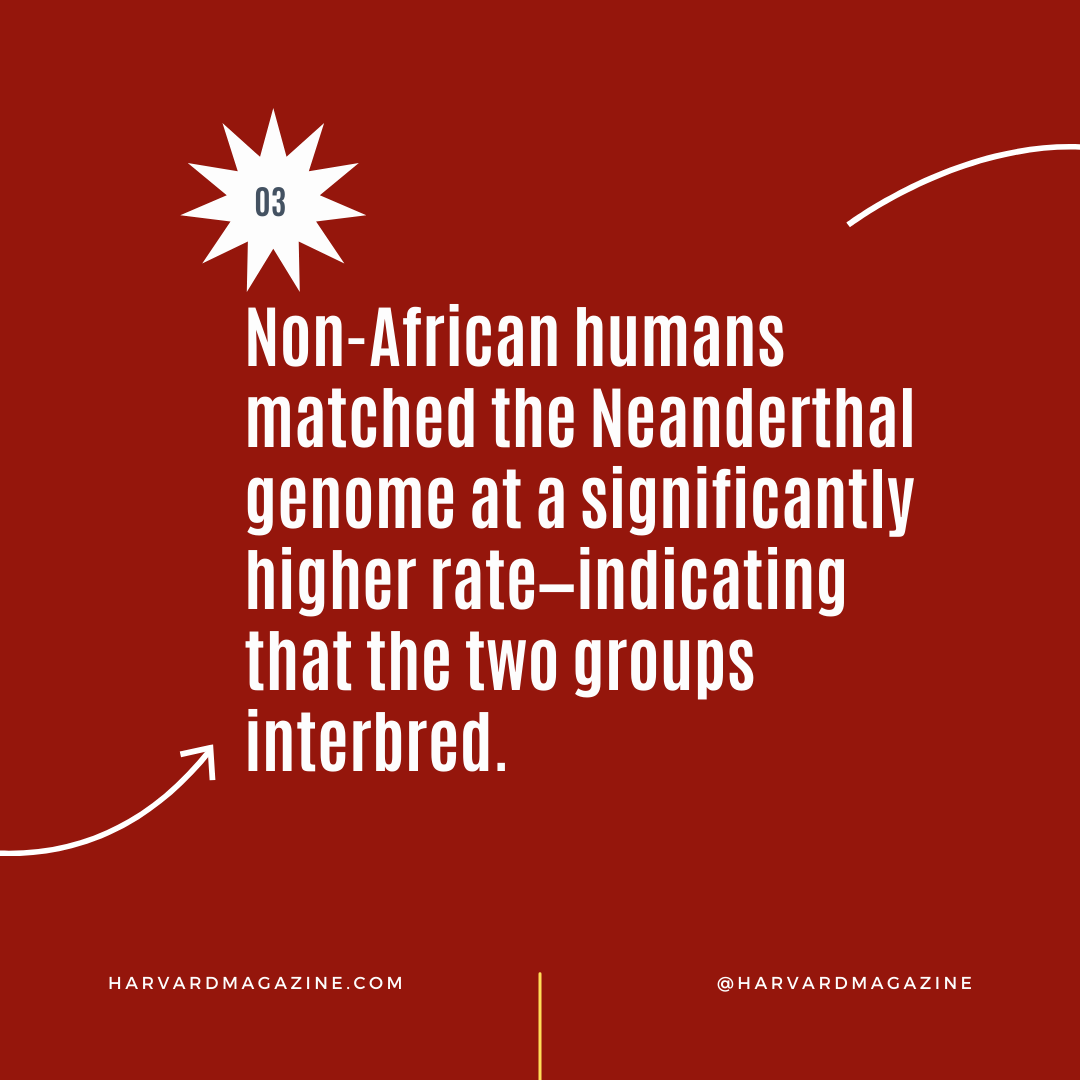 HarvardMagazine's tweet photo. 4 Surprising Discoveries from Ancient DNA
https://t.co/Klgz0WkQO0 https://t.co/H83sxKJn6N
