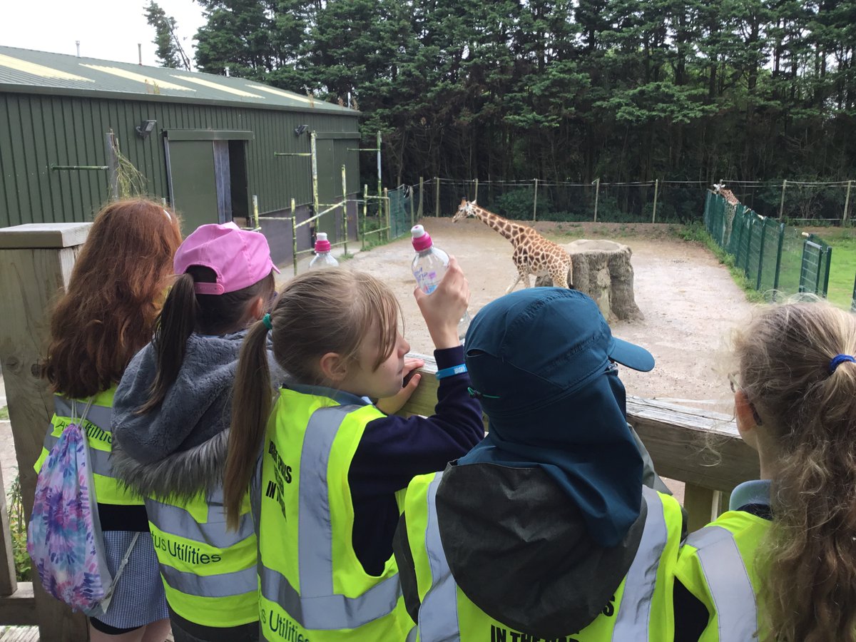 MrsTeahan's tweet photo. What a wonderful day we had at Blackpool zoo. @OURLADYSASPULL #ourladysvisits https://t.co/wa56lwjiK1