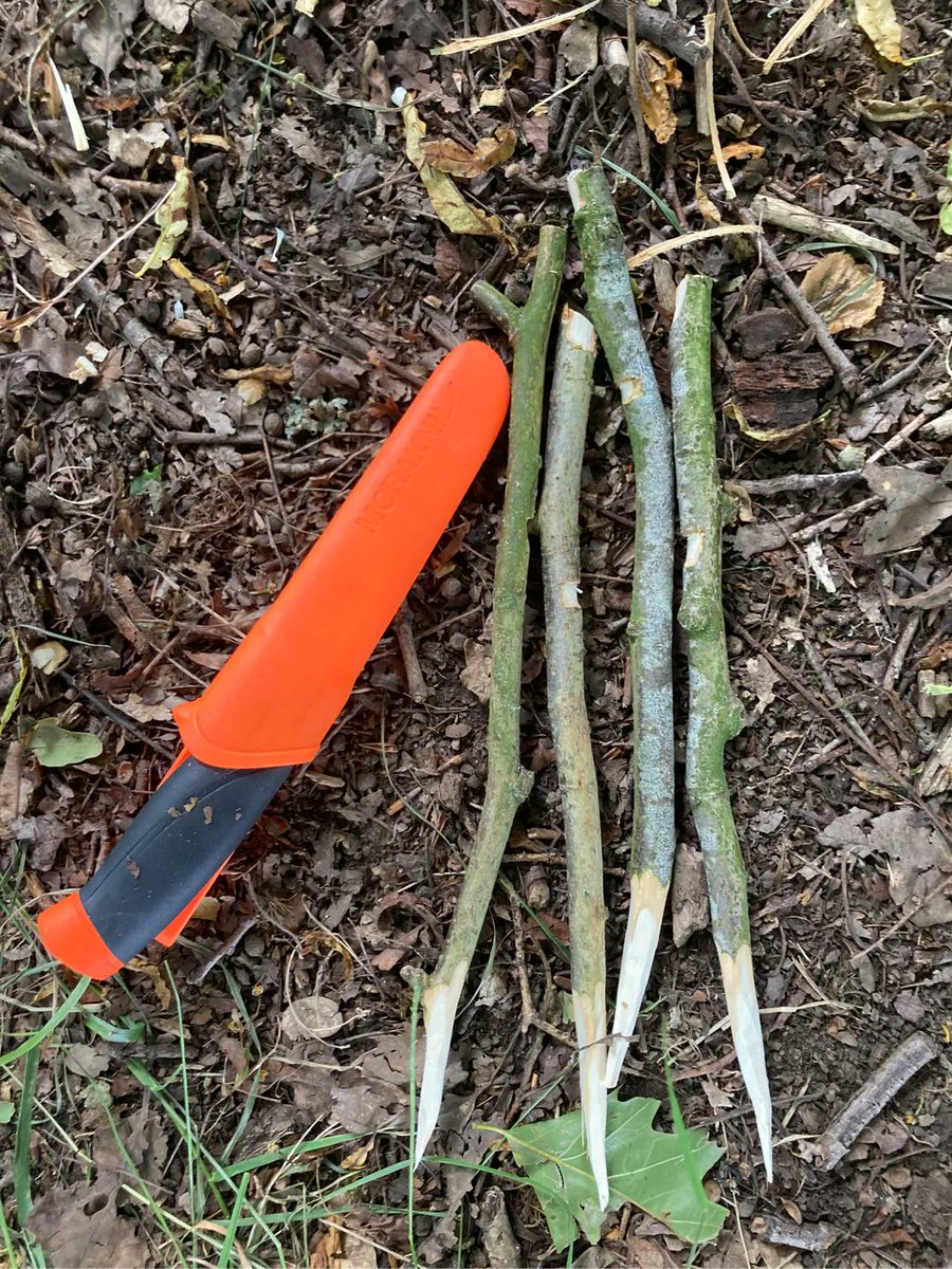Whittling to create tent pegs! It’s fair to say I’ll never be short of a peg while camping again😅
#forestschool #tooluse