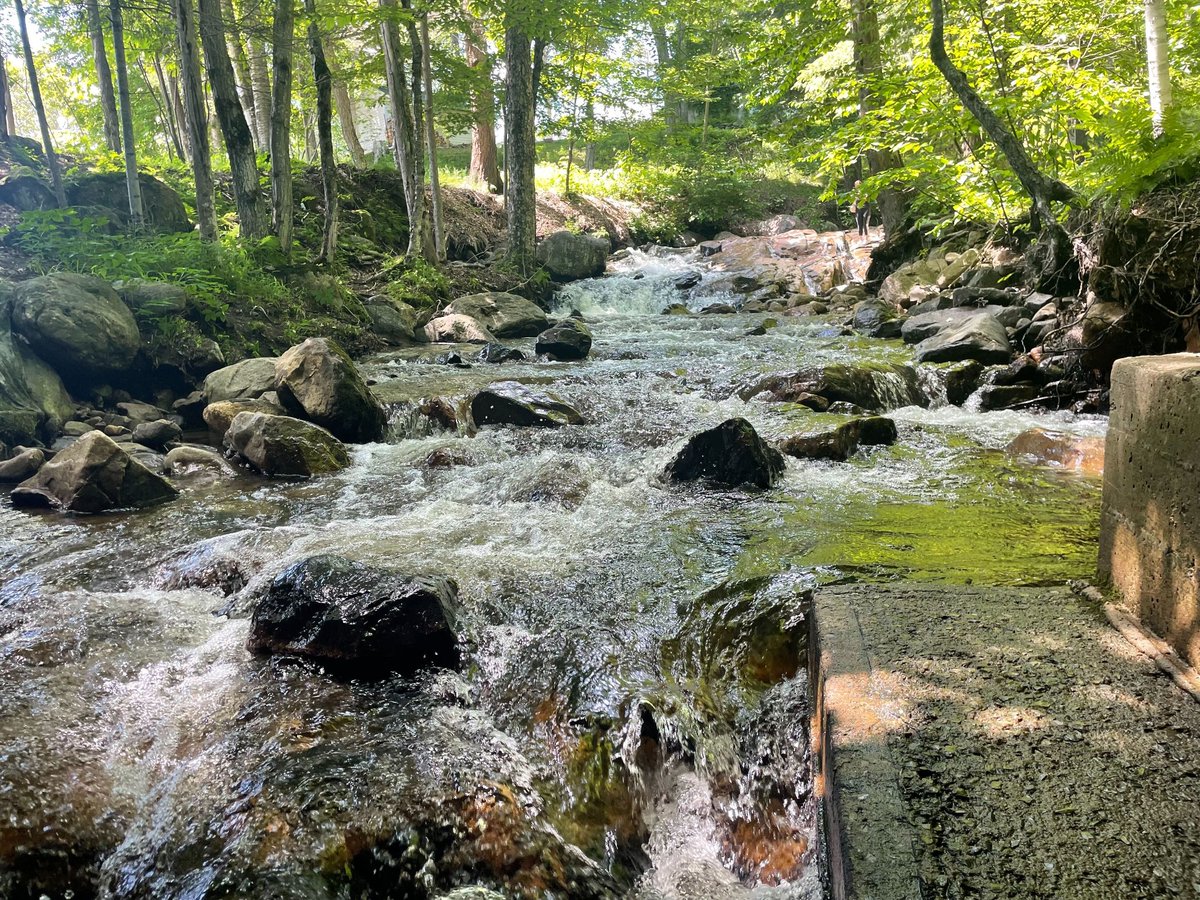 AdvocateRoofing's tweet photo. “Cocktails by the pool and a bike ride through the mountains followed by some of the best wine I’ve ever tasted with some of the most fun people I know.”-Kelsey Rundle (Sales)

#incentives #incentivetrip #incentivetravel #salesjobs #Nowhiring #workhardplayhard https://t.co/cqzpQ5RWCU