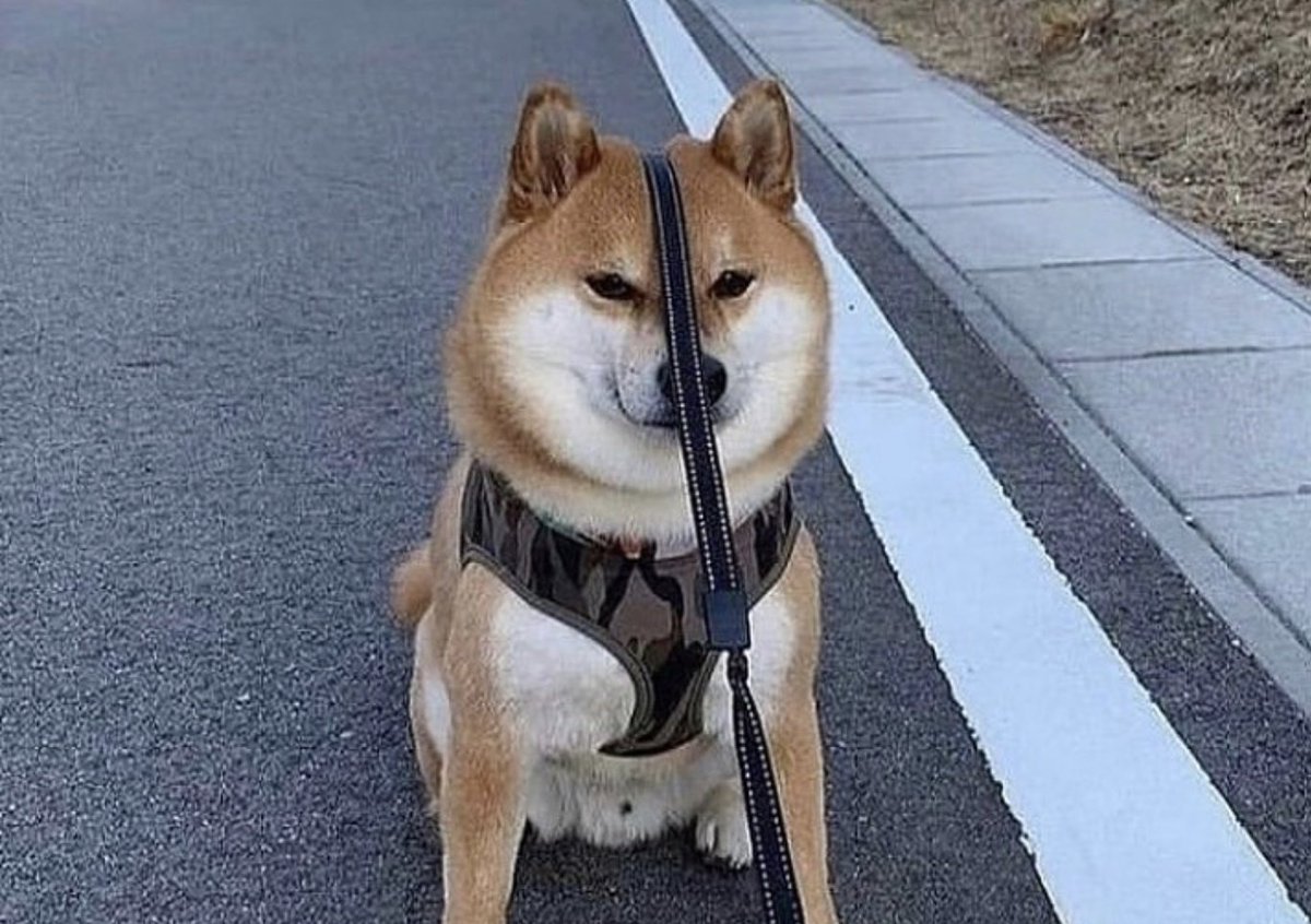 If Monday were a picture... #Web3 #web3community #NFT #NFTCommuntiy