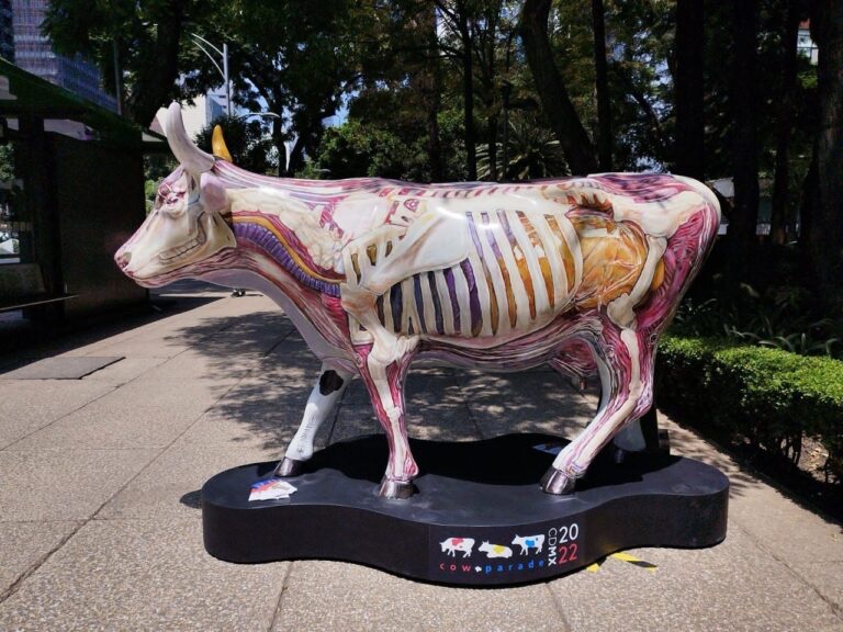 #CowParade: 62 esculturas de tamaño natural llegan a Reforma.

“Entre las vacas intervenidas se encuentra ‘#Vacografía’, de <a href="/FloresManjarrez/">Manjarrez</a>, colaborador de Fusilerías…”

👉🏼 fusilerias.com/cowparade-lala…
<a href="/CowParadeMX/">CowParadeMX</a>