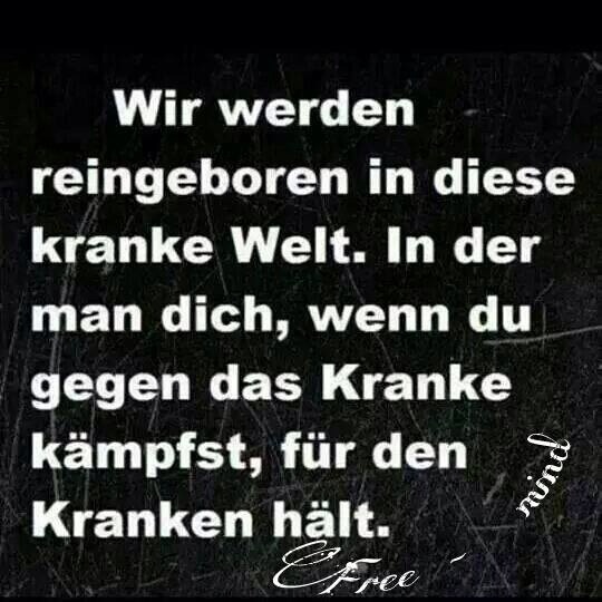 Muttlaender's tweet image. 