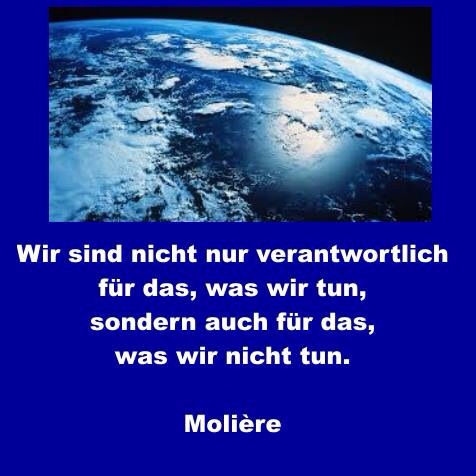 Muttlaender's tweet image. 