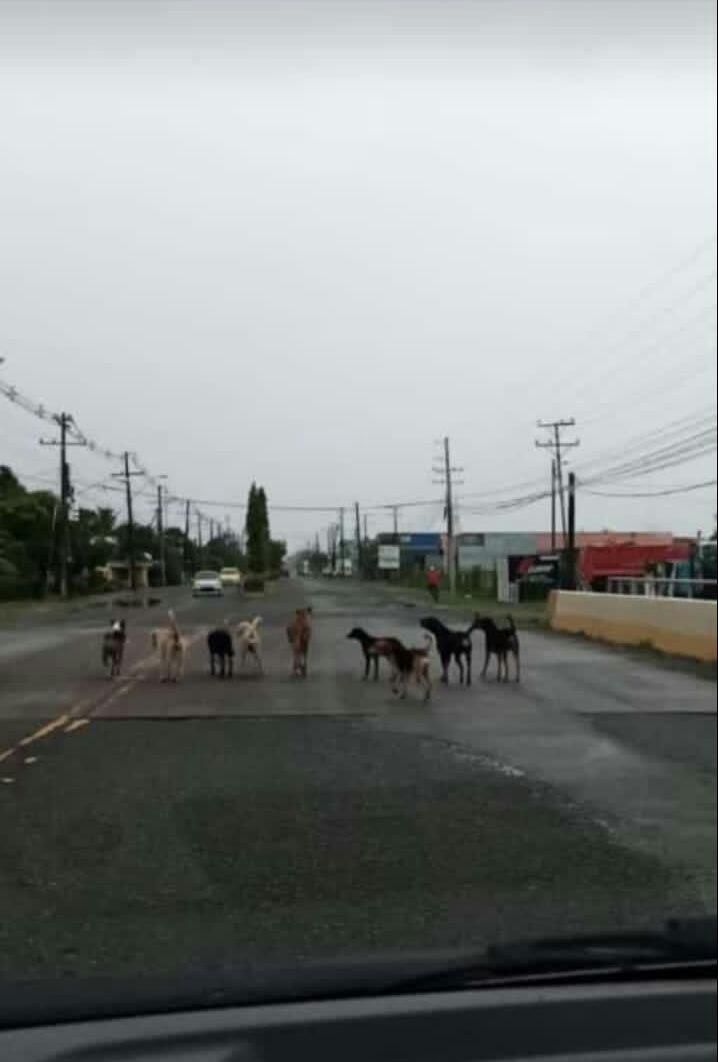 Por acá tampoco se puede salir…