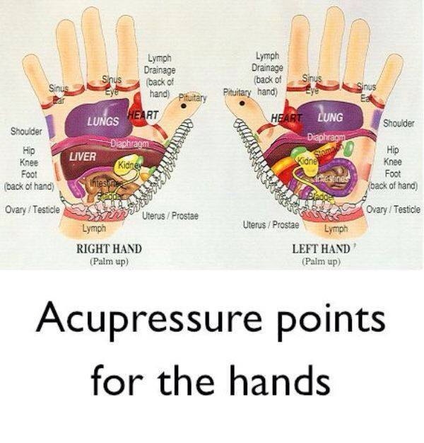 Muttlaender's tweet image. 